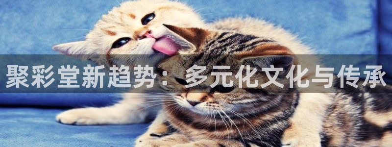 豪门国际h5 豪门国际app：聚彩堂新趋势：多元化文化与传承