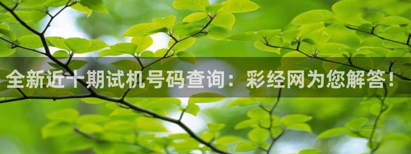 豪门国际有梦你就来：全新近十期试机号码查询：彩经网为您解答！