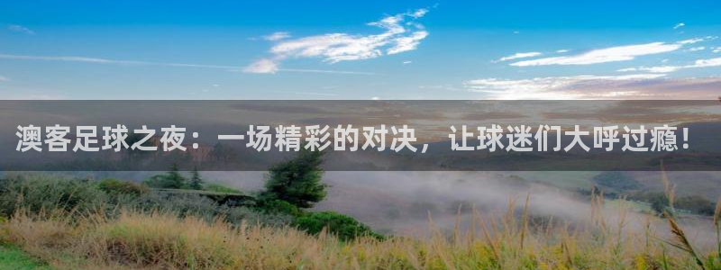 壹号top娱乐：澳客足球之夜：一场精彩的对决，让球迷们大呼过瘾！